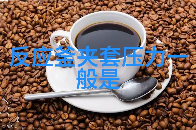DHJF-2005实验室低温恒温反应浴 反应浴反应槽