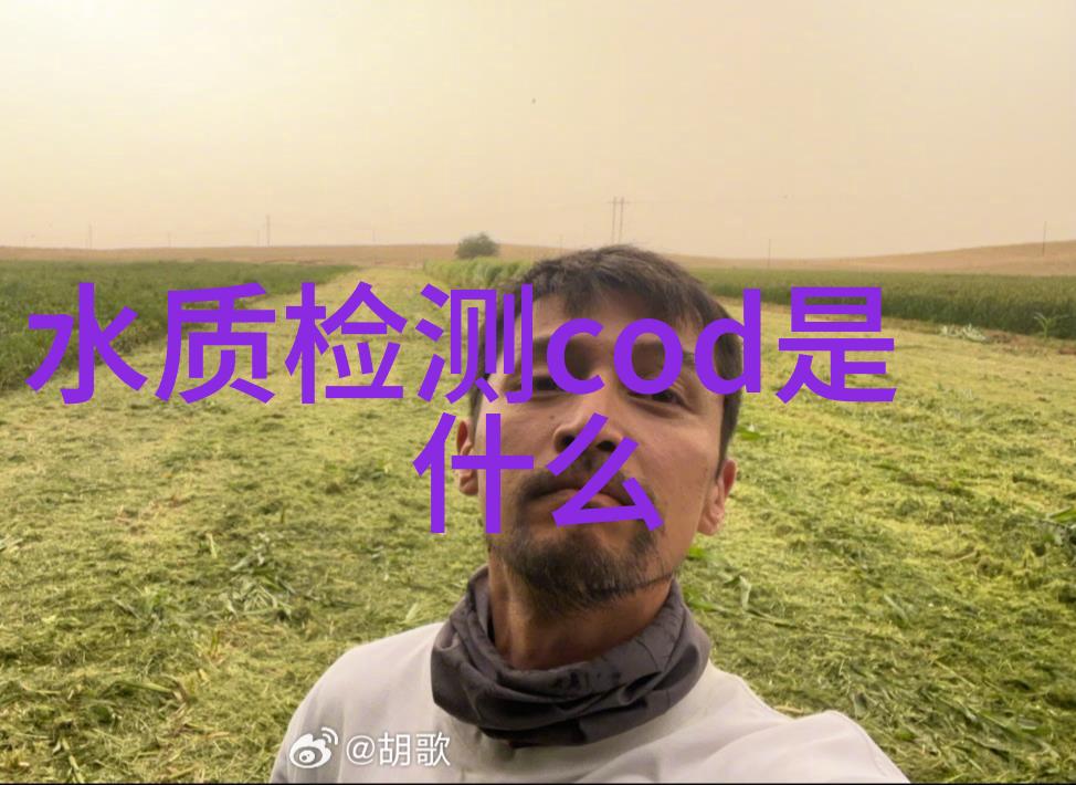 G43型铜镍铁锌六价铬总镉测定仪